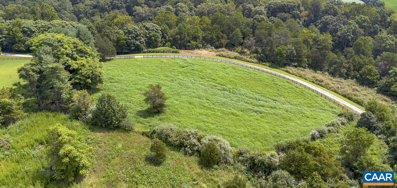 9195 Springwood Road Buchanan, VA 24066 - Photo 18 of 75 a view of a green yard with large trees