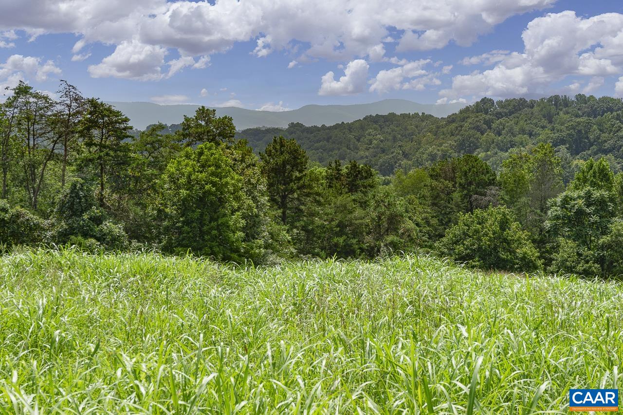 9195 Springwood Road Buchanan, VA 24066 - Photo 20 of 75 a view of a city with lush green forest