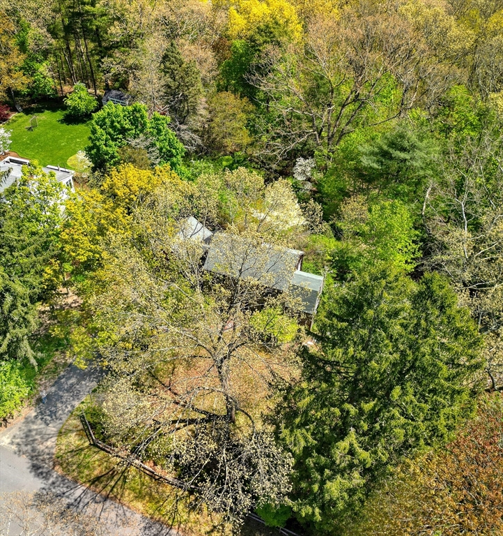 40 Lancaster Drive Westwood, MA 02090 - Photo 29 of 29 a view of a yard with a tree