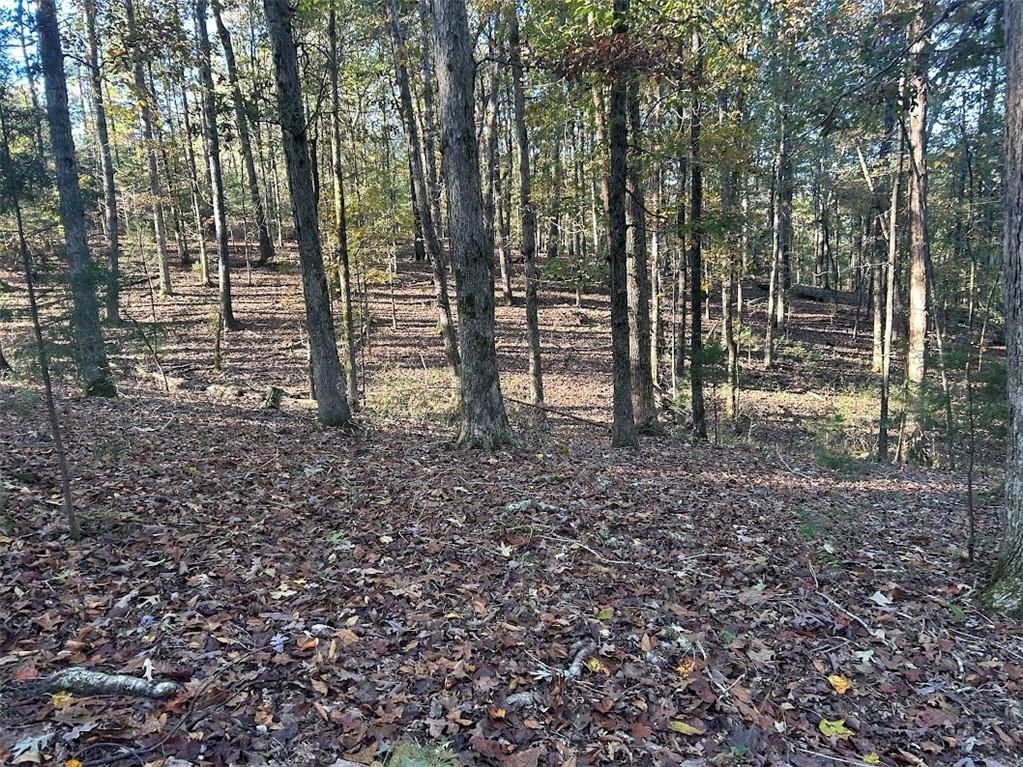 0 Old Columbus Road Bowdon, GA 30108 - Photo 9 of 26