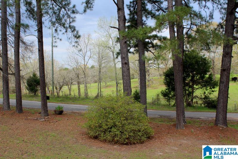 481 Truss Ferry Road Lincoln, AL 35096 - Photo 25 of 28