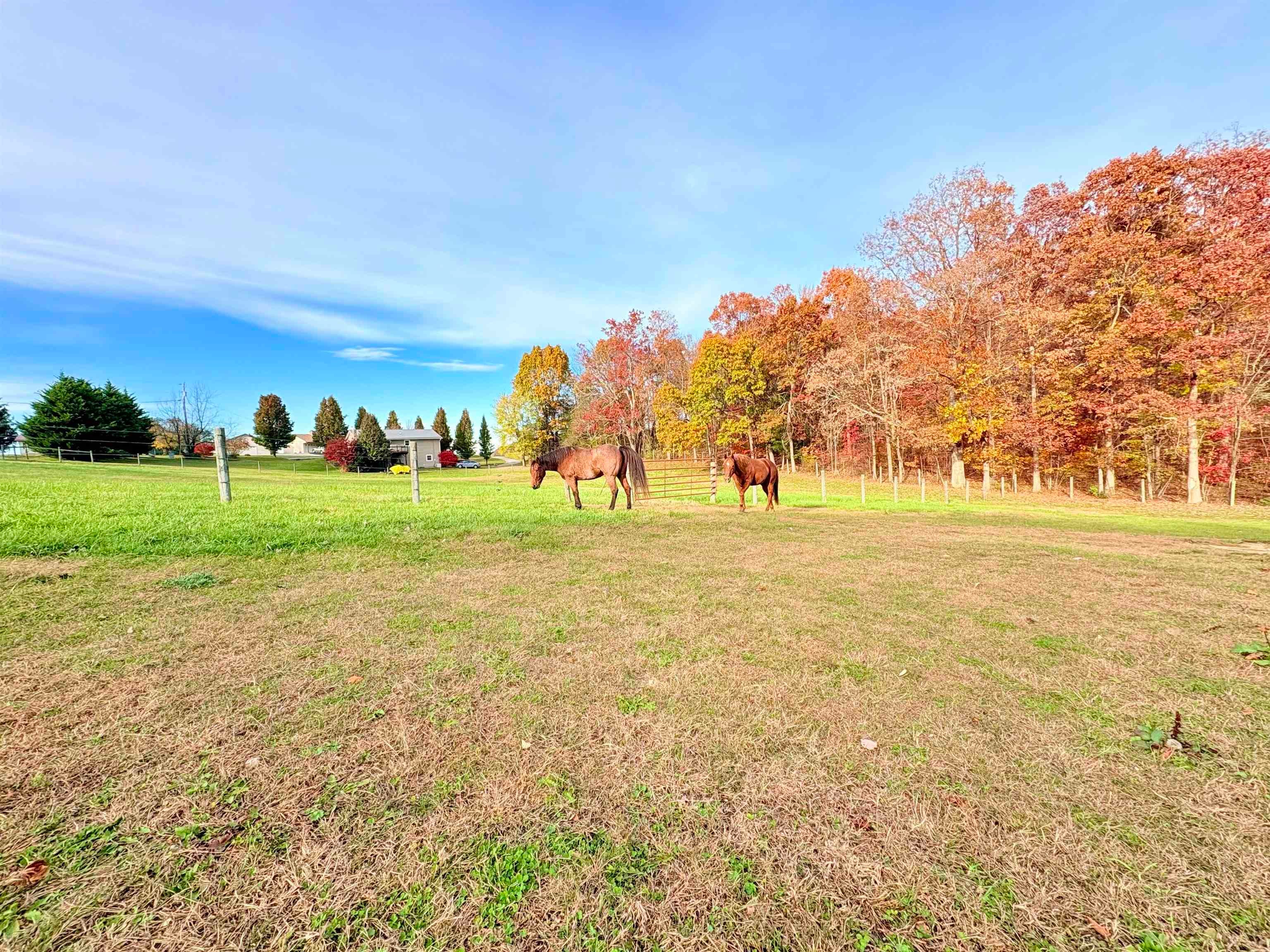 2740 Lantern Road Radford, VA 24141 - Photo 14 of 113 Gallery Image 14