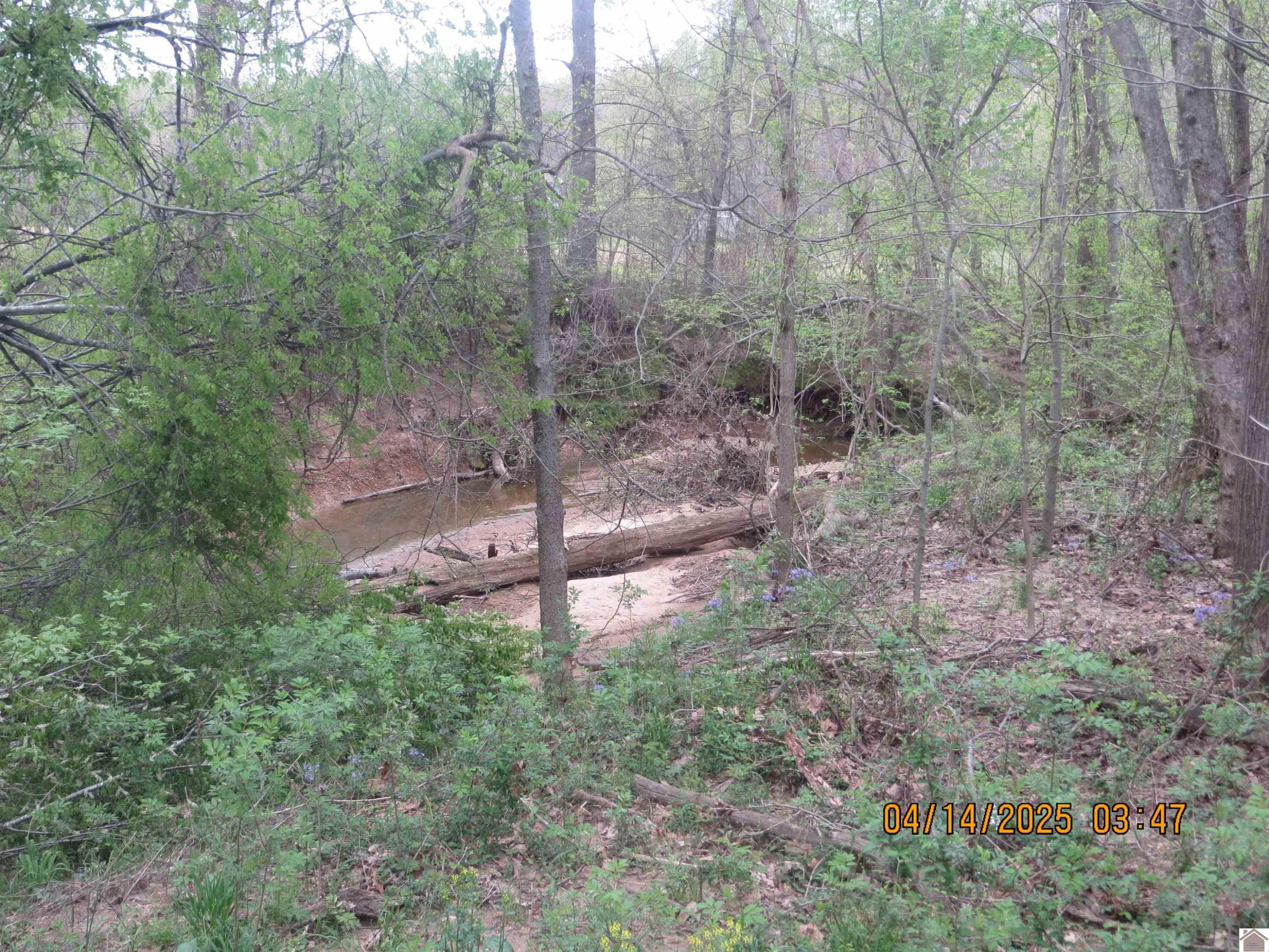 768 Flournoy Road Wickliffe, KY 42087 - Photo 36 of 45 Photo 36