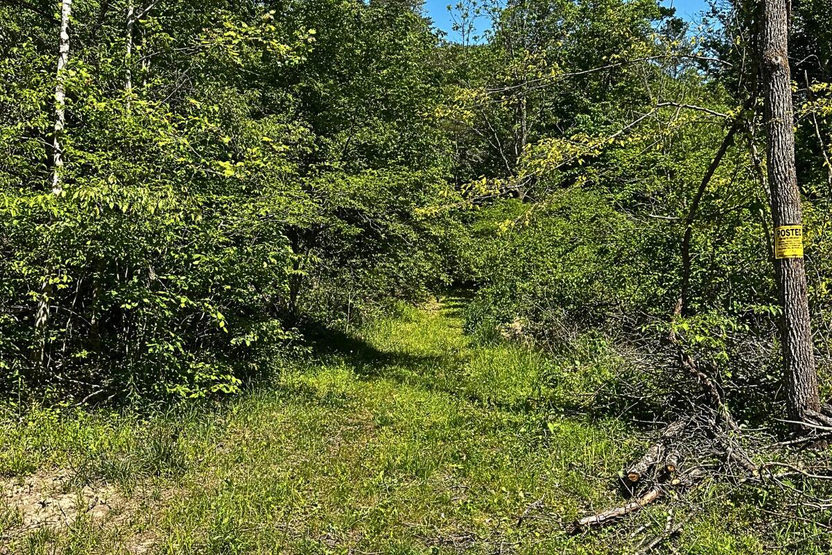 3994 Yates Road Shawsville, VA 24162 - Photo 25 of 40 land for sale in shawsville va 8