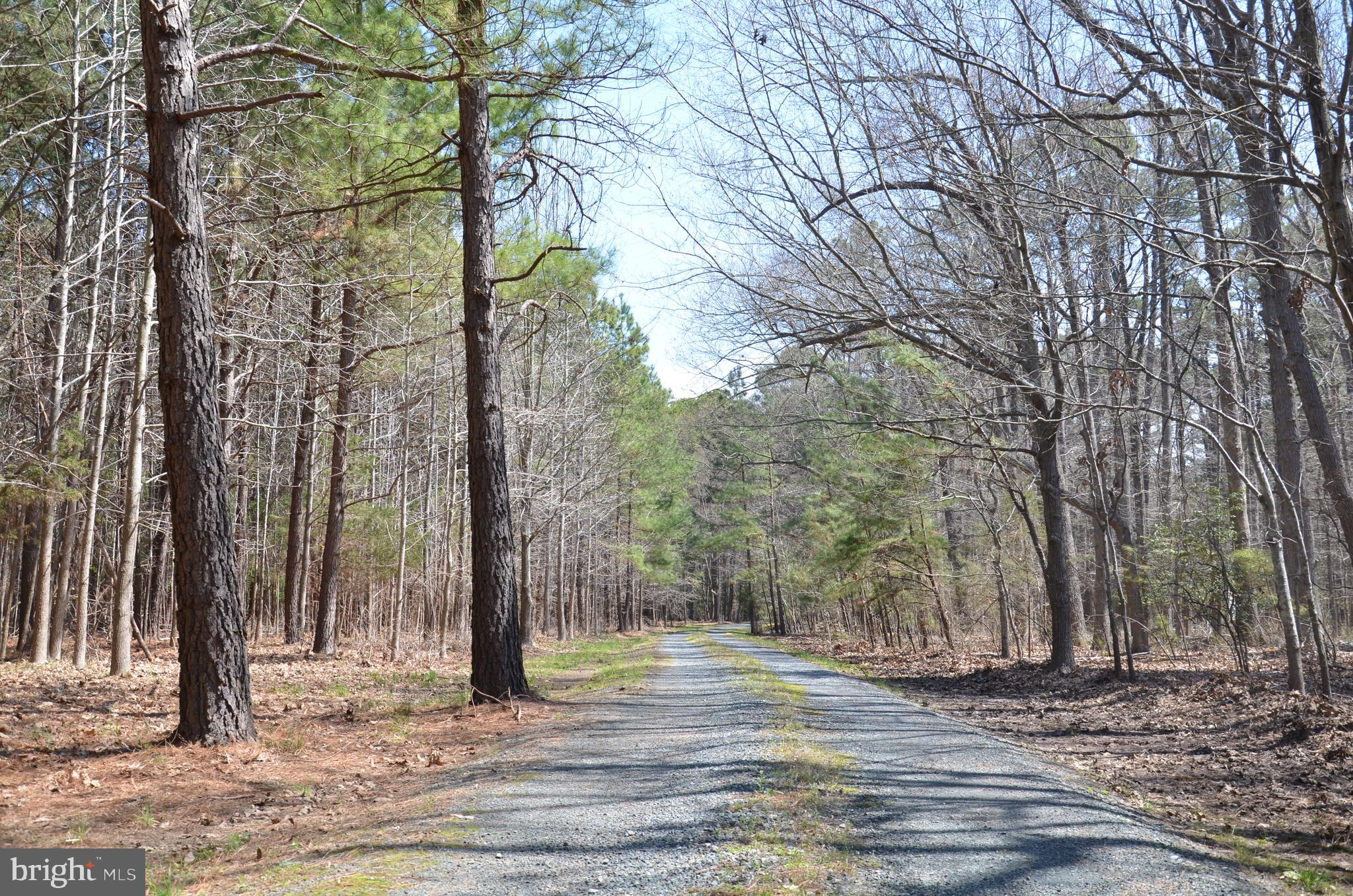 7400 Cooper Point Road Bozman, MD 21612 - Photo 55 of 72 Gallery Image 55