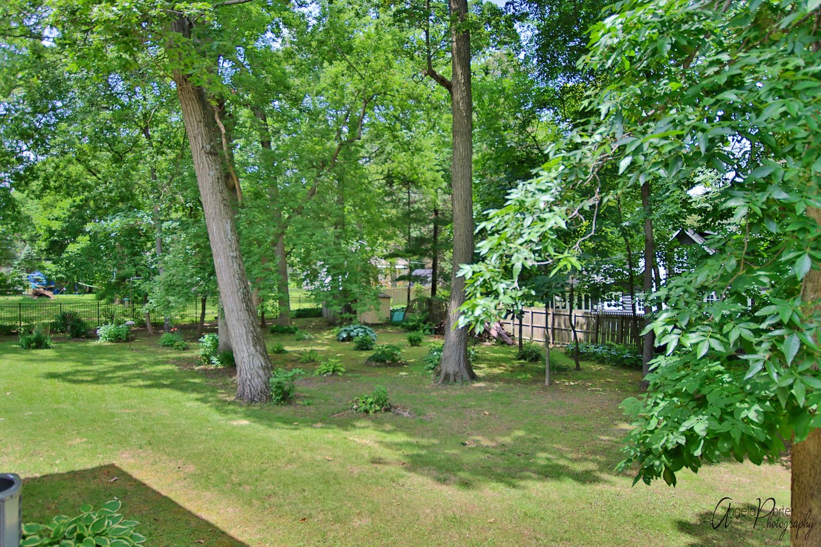 38304 North Briar Road Spring Grove, IL 60081 - Photo 33 of 39 a view of a forest with trees