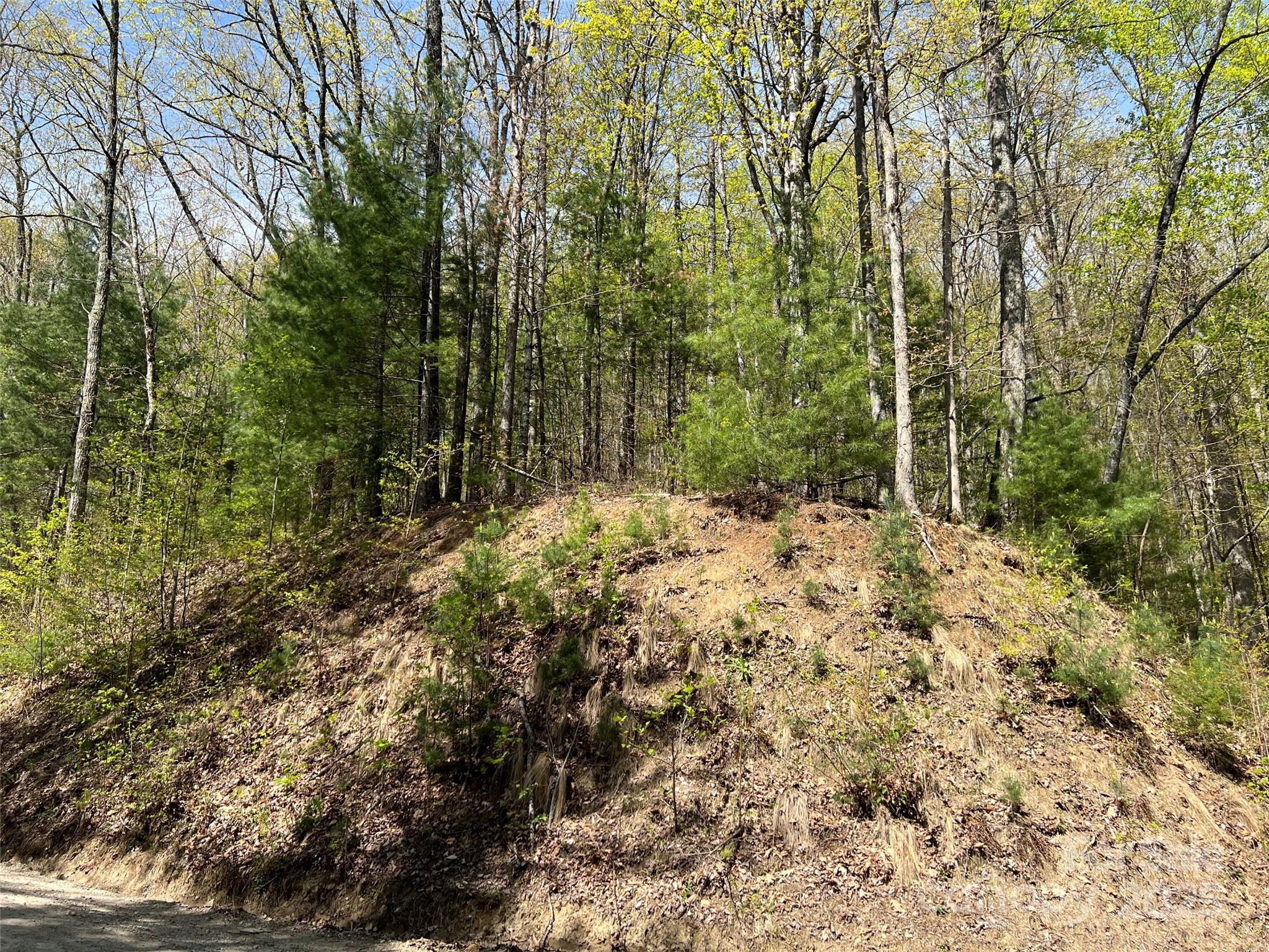 0 Hidden Trail Franklin, NC 28734 - Photo 1 of 12 a view of a yard with plants and trees