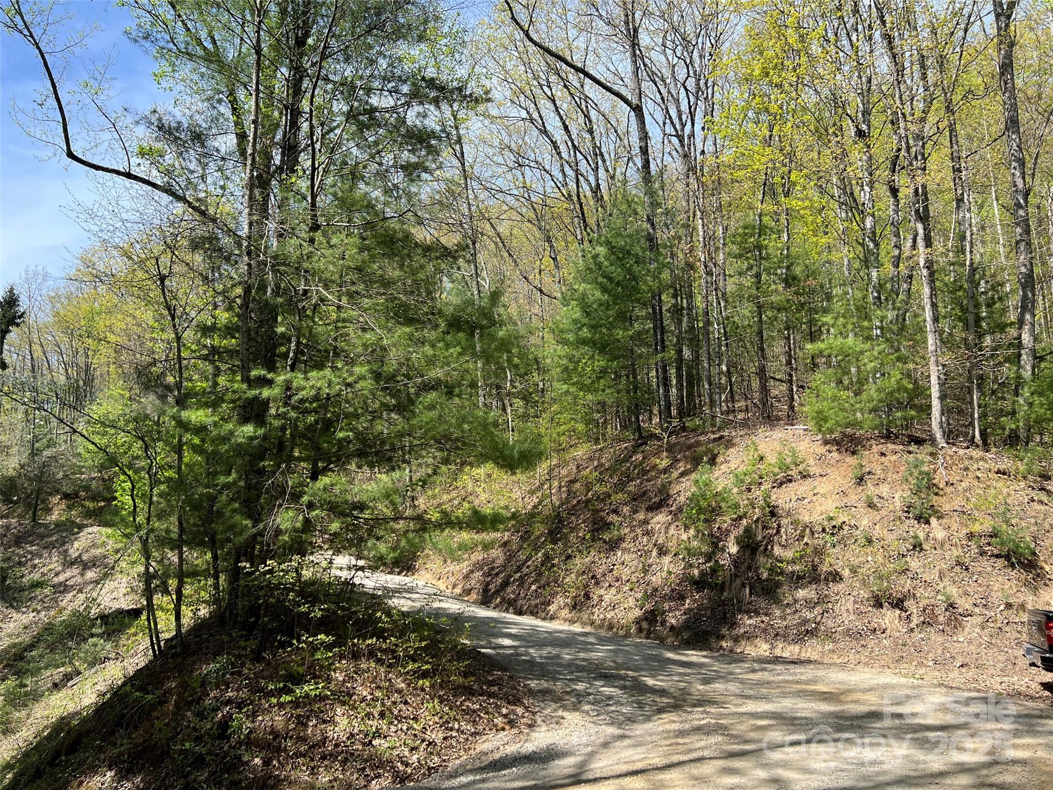 0 Hidden Trail Franklin, NC 28734 - Photo 11 of 12 a view of a yard with plants and trees