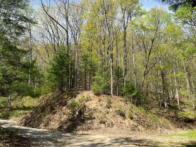 $55,000 | 0 Hidden Trail, Franklin, NC 28734