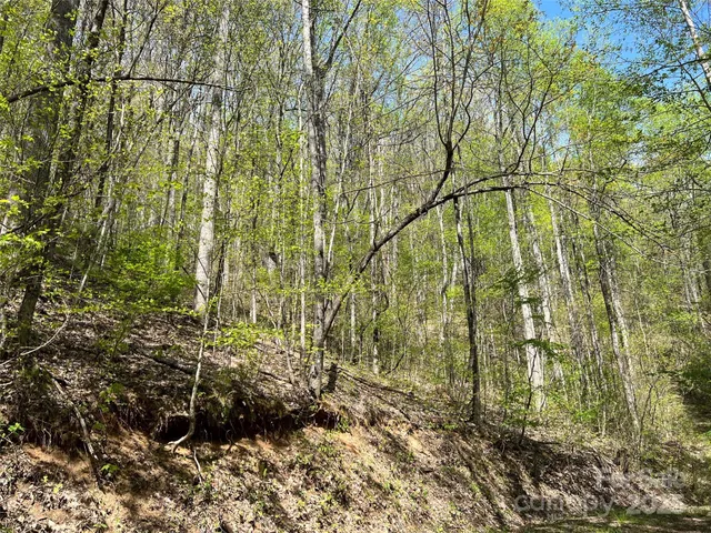 a view of backyard with green space