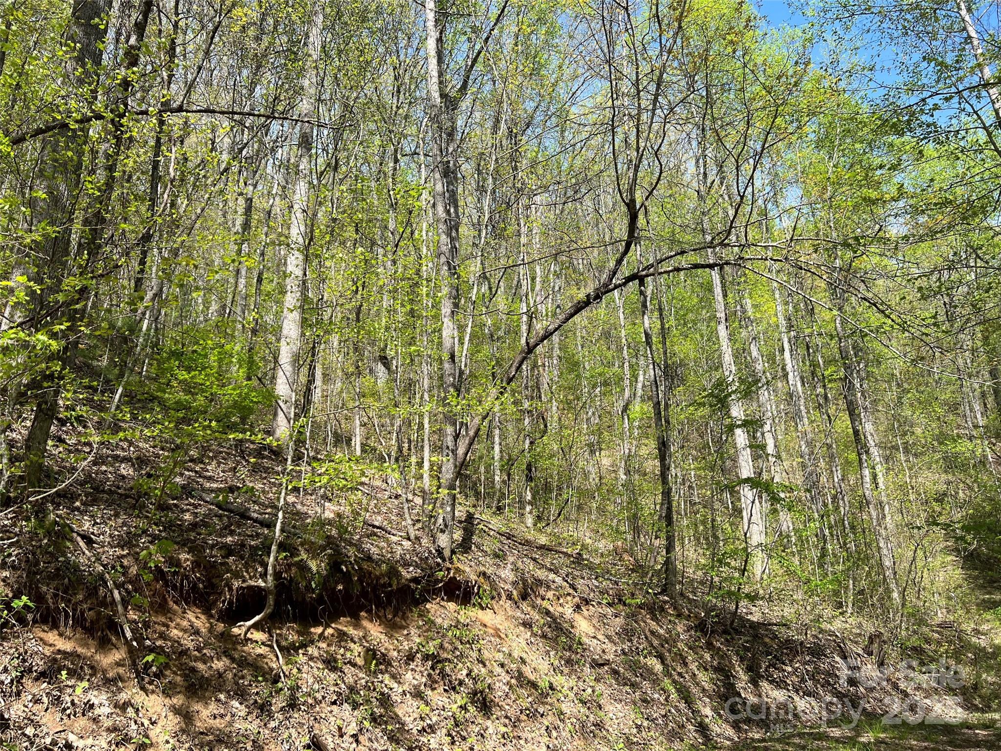 0 Hidden Trail Franklin, NC 28734 - Photo 2 of 12