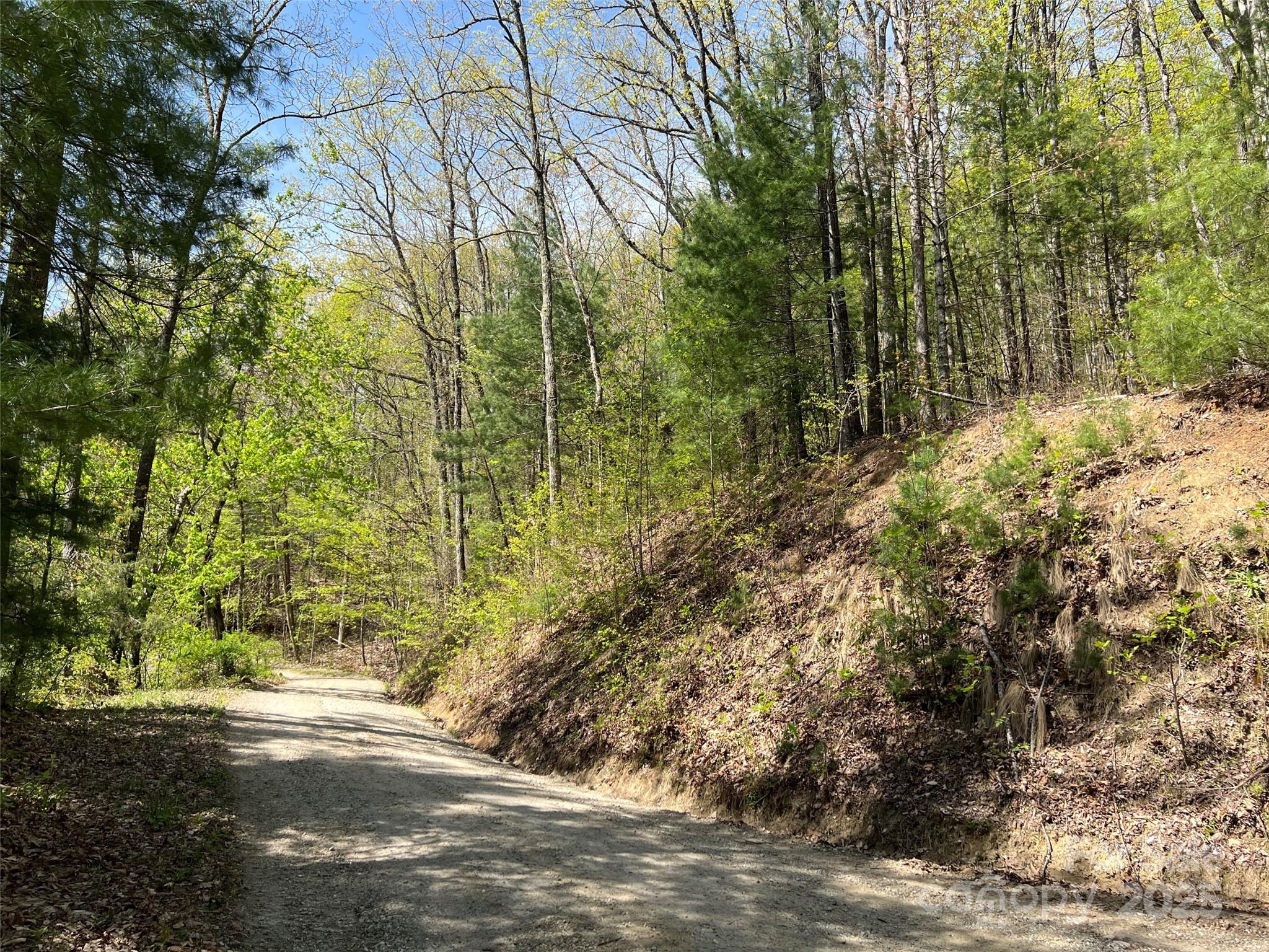 0 Hidden Trail Franklin, NC 28734 - Photo 3 of 12 a view of backyard with green space