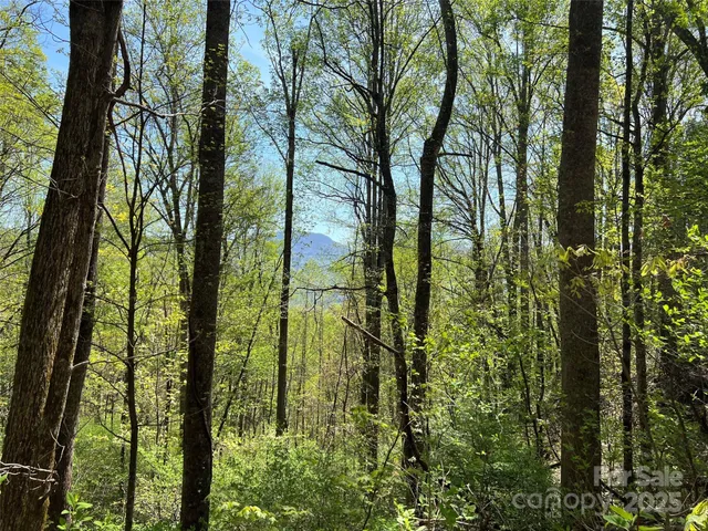 a view of a yard with plants and wooden fence