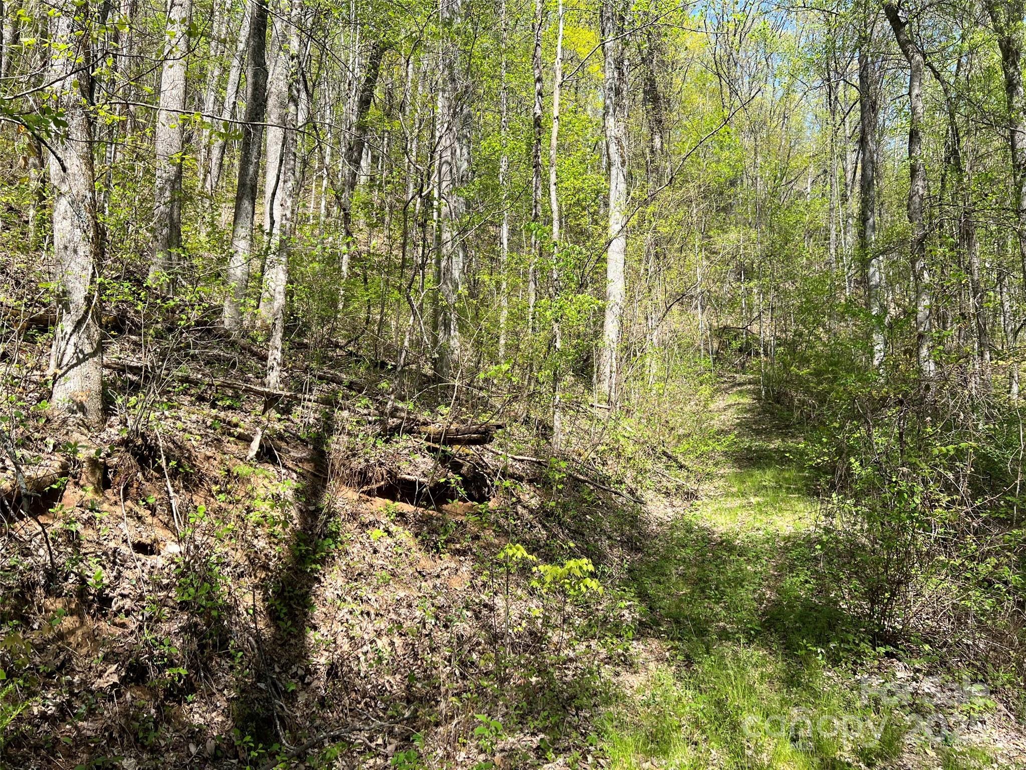 0 Hidden Trail Franklin, NC 28734 - Photo 5 of 12 a view of a yard with plants and wooden fence