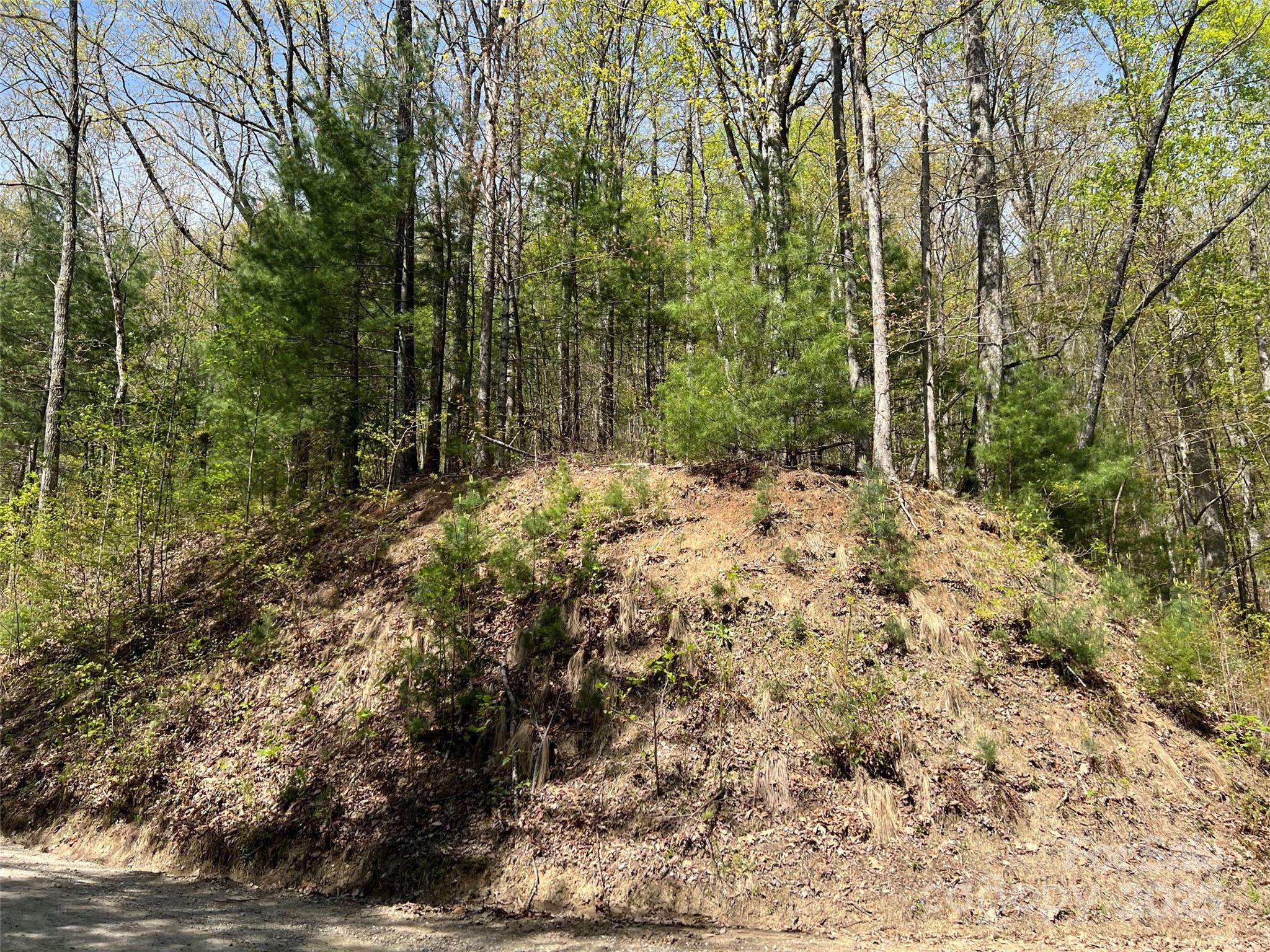 0 Hidden Trail Franklin, NC 28734 - Photo 6 of 12 a view of a yard with plants and trees
