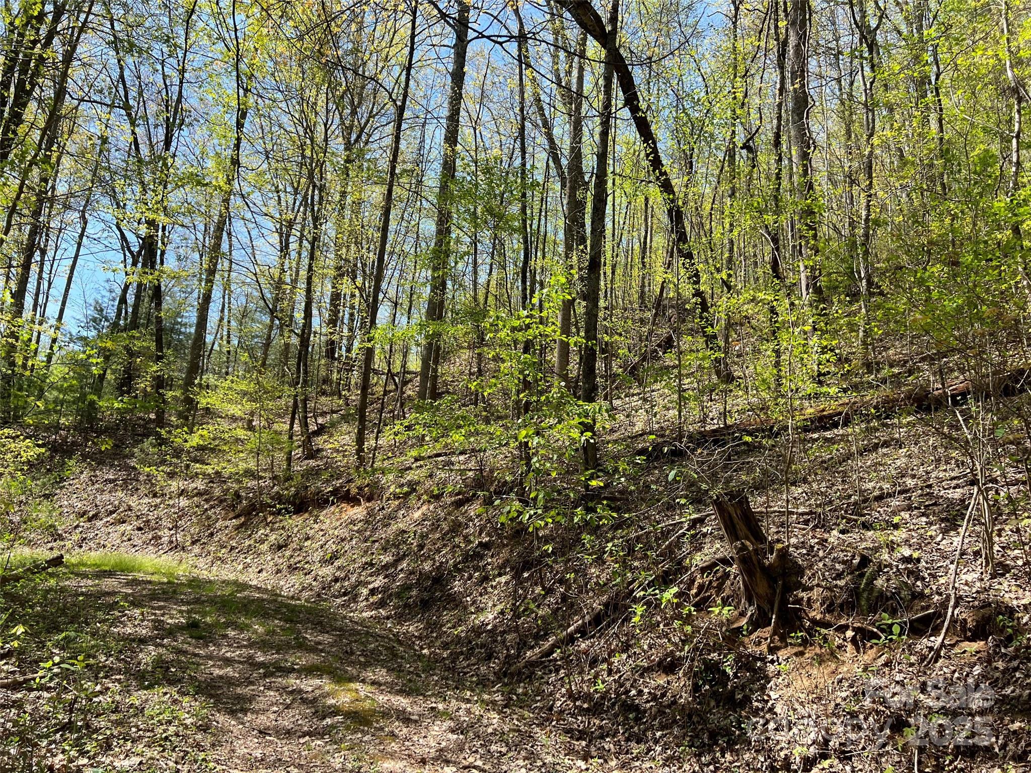 0 Hidden Trail Franklin, NC 28734 - Photo 9 of 12 a view of yard