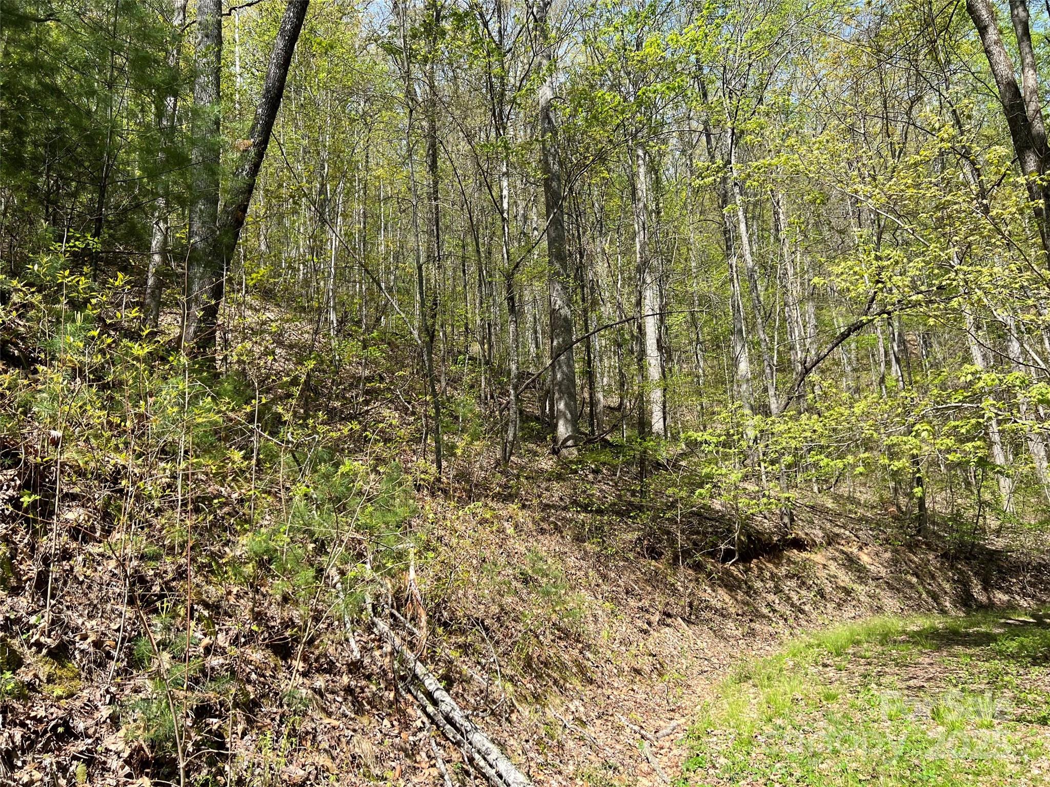 0 Hidden Trail Franklin, NC 28734 - Photo 10 of 12 a view of a garden