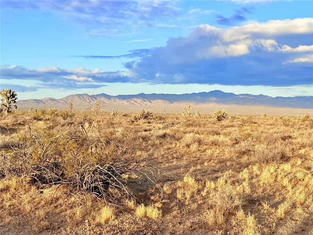 0 South Alamo Road Yucca, AZ 86438 - Photo 12 of 21