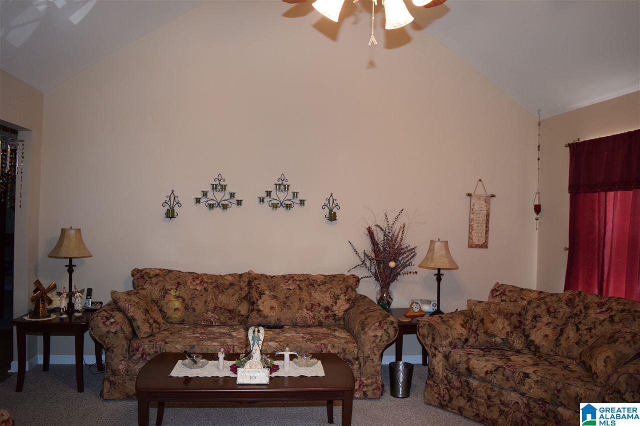 93 Wet Cat Road Hayden, AL 35079 - Photo 2 of 43
