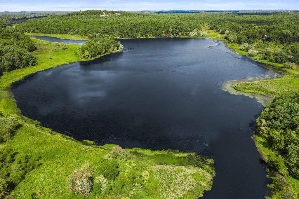 263 Old Concord Road Lincoln, MA 01773 - Photo 38 of 41 a view of a lake with a yard