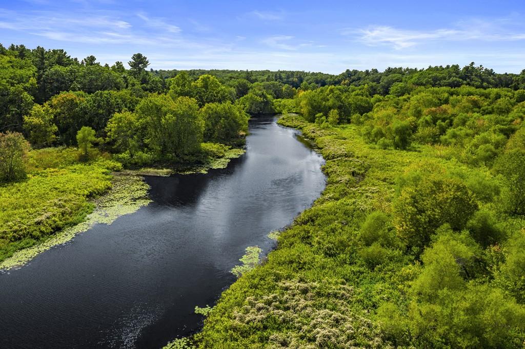 263 Old Concord Road Lincoln, MA 01773 - Photo 39 of 41 a view of a garden with a lot of trees