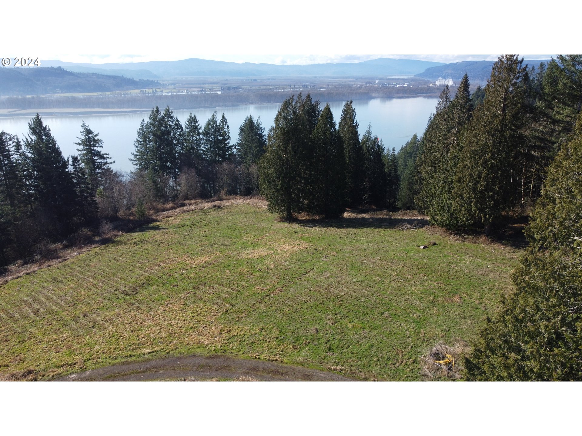 171 West Newt Estates Road Longview, WA 98632 - Photo 3 of 7 a view of a field with a tree in a yard