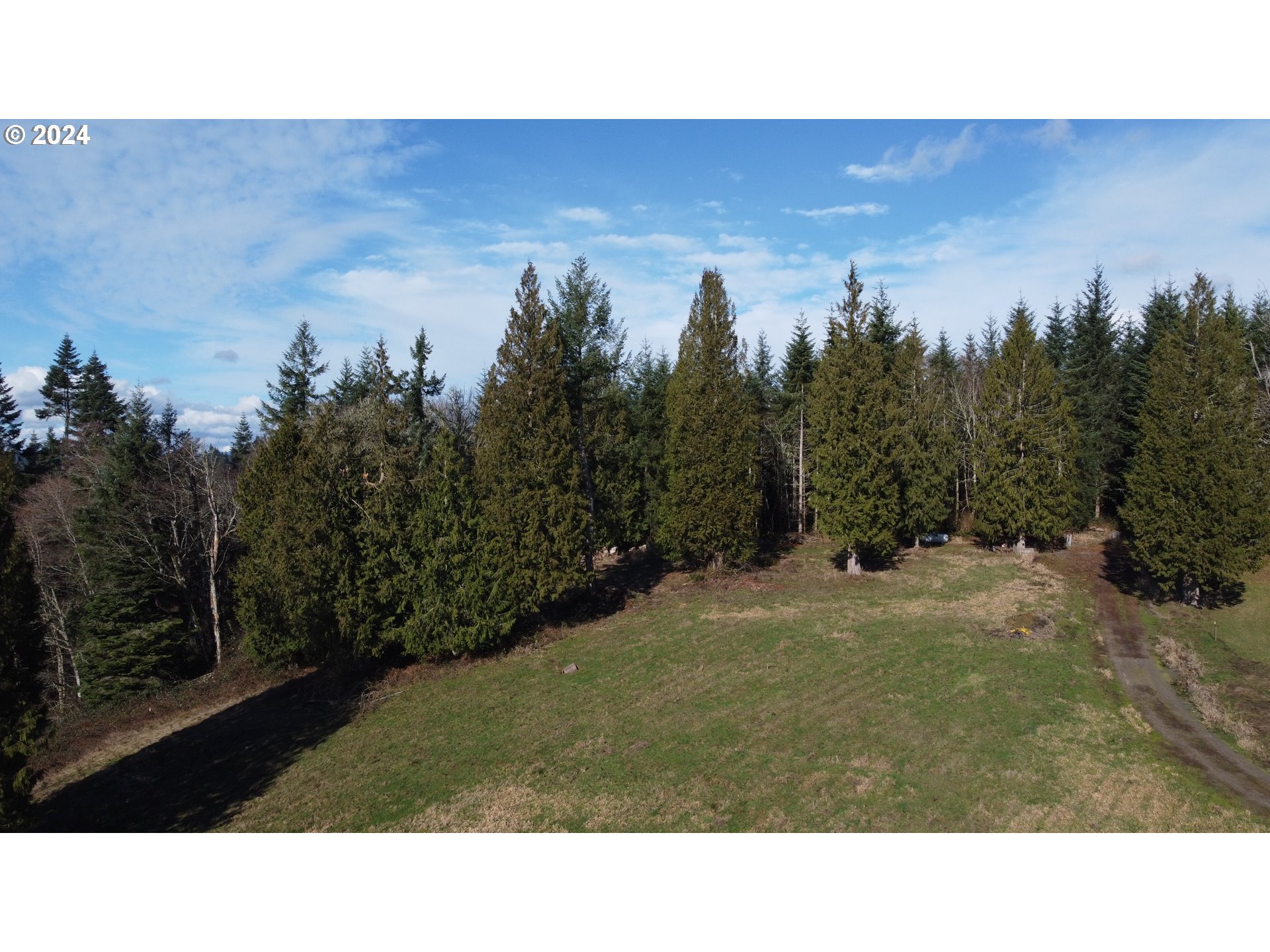 171 West Newt Estates Road Longview, WA 98632 - Photo 4 of 7 a open area with trees in the background