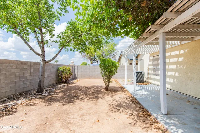 a view of a backyard with a tree