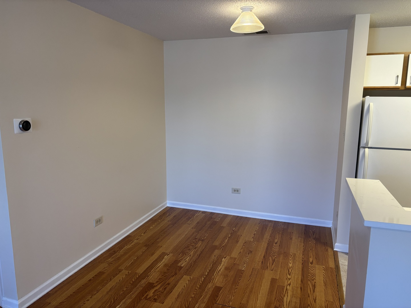 1905 North Hicks Road, Unit 205 Palatine, IL 60074 - Photo 6 of 10