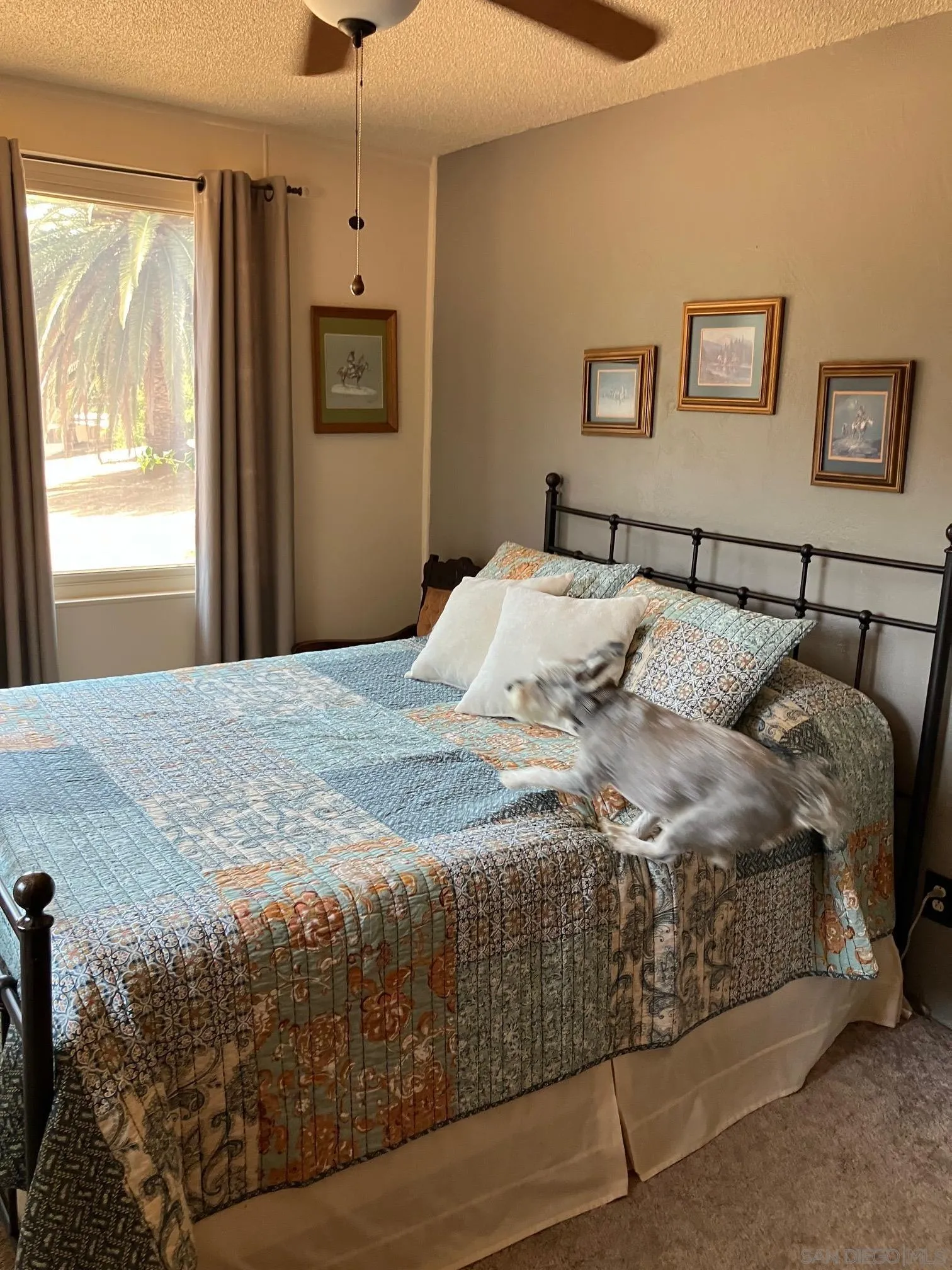 17066 Highway 94 Jamul, CA 91935 - Photo 18 of 23 a bedroom with a bed and window