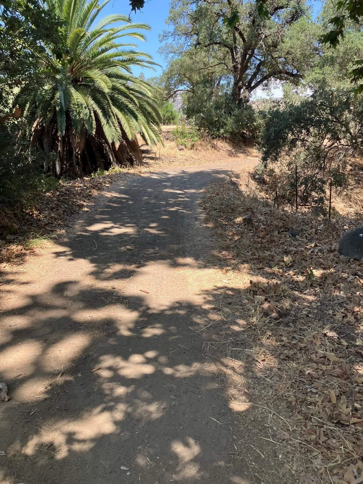 17066 Highway 94 Jamul, CA 91935 - Photo 6 of 23 a view of beach and yard