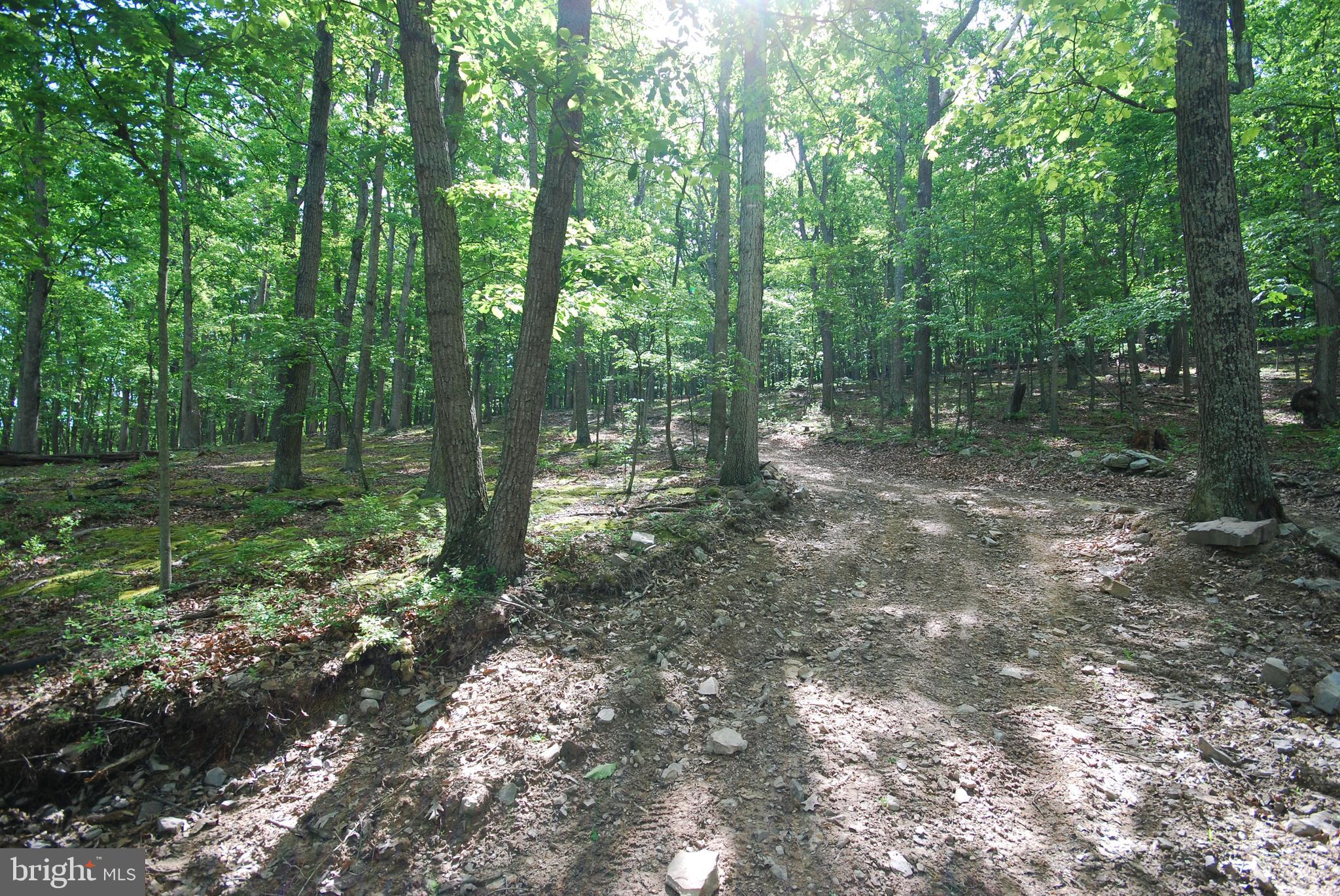 Lot 70-71 Mill Mountain Road Romney, WV 26757 - Photo 10 of 52