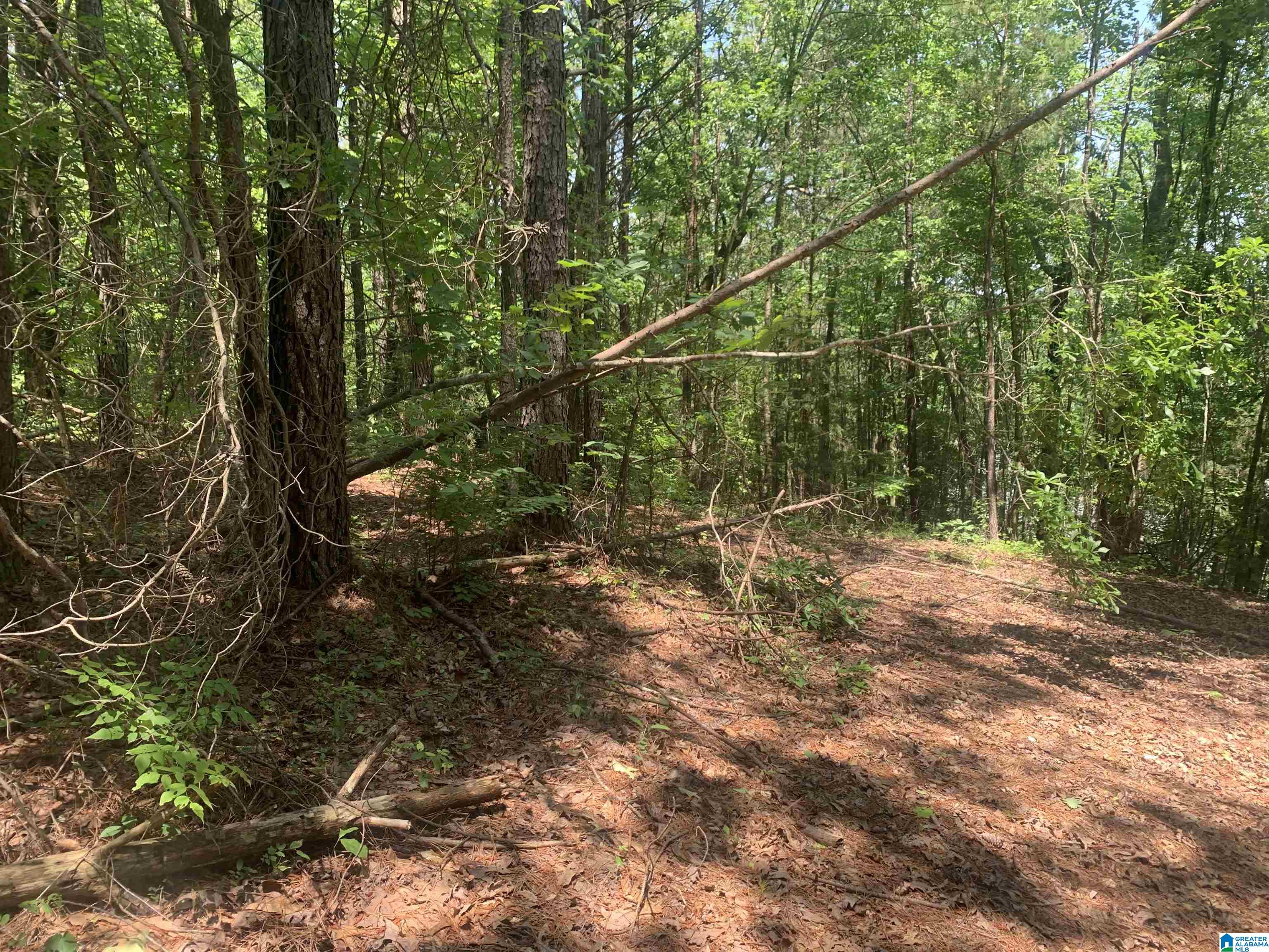 1161 Old Patton Ferry Road Adger, AL 35006 - Photo 37 of 46