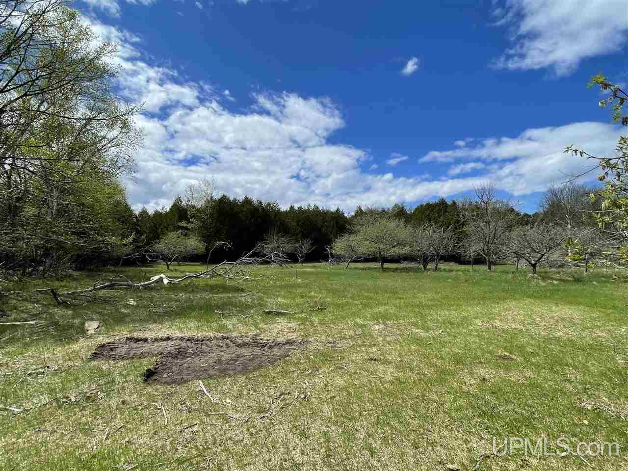5861 Ll Road Garden, MI 49835 - Photo 6 of 18