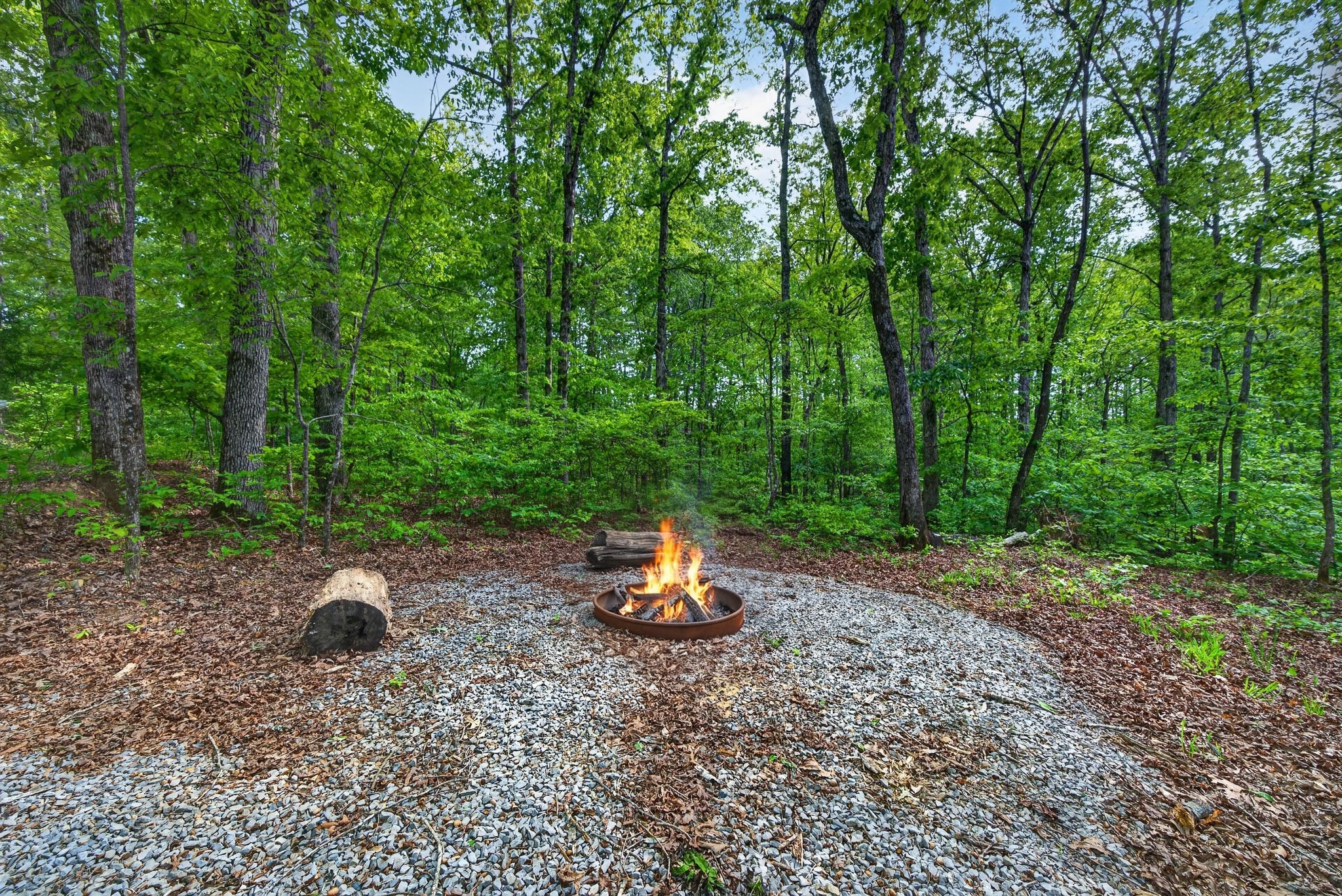 1030 Johnson Hollow Road McEwen, TN 37101 - Photo 67 of 78 a backyard of a house with lots of green space