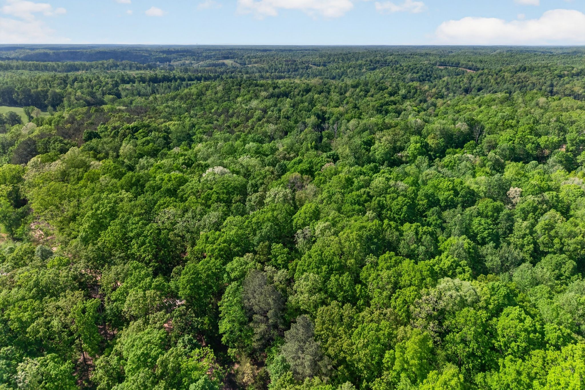 1030 Johnson Hollow Road McEwen, TN 37101 - Photo 78 of 78