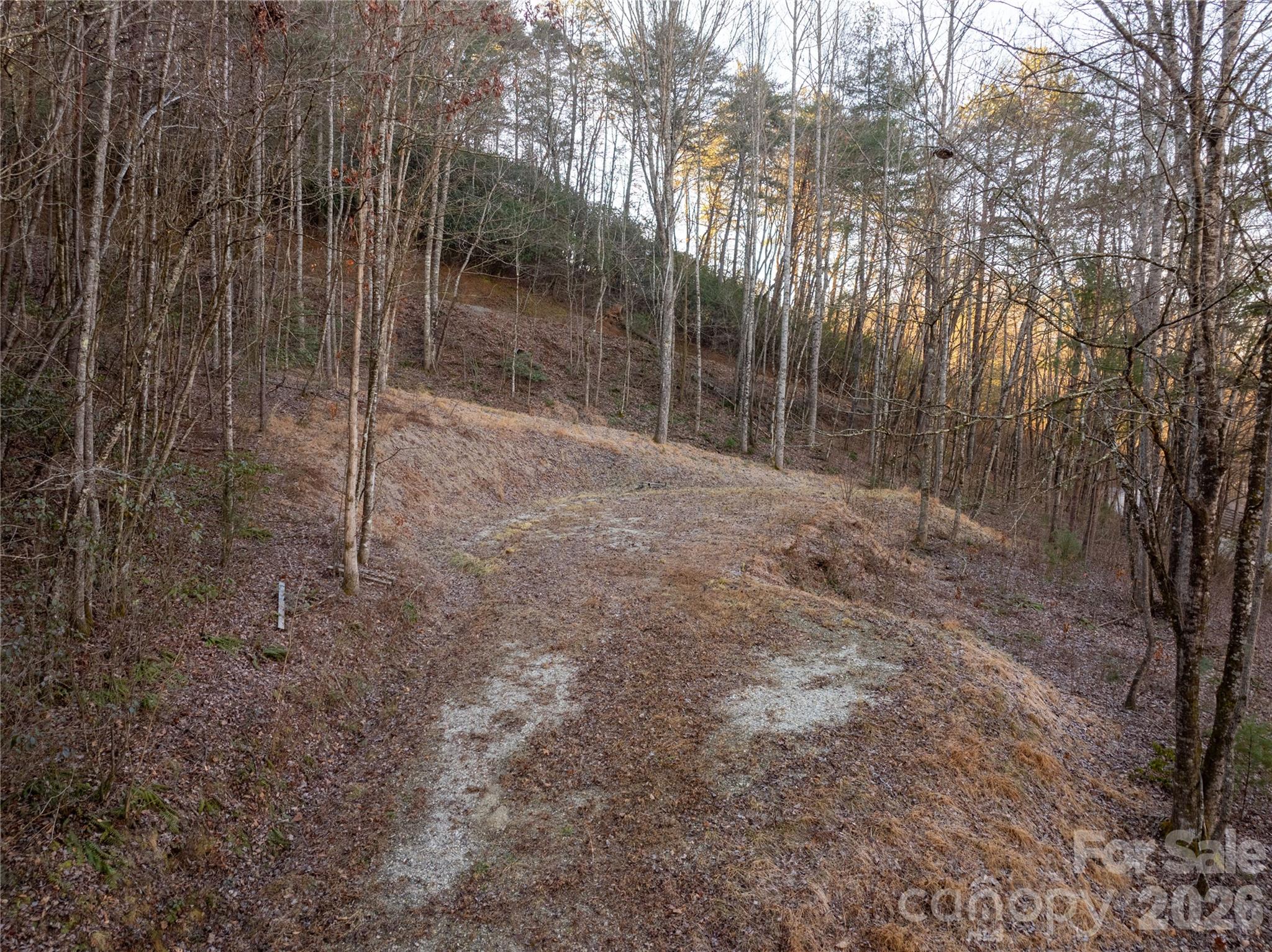 Lot 1 Mccracken Road Bryson City, NC 28713 - Photo 11 of 16 a view of a forest with trees in the background