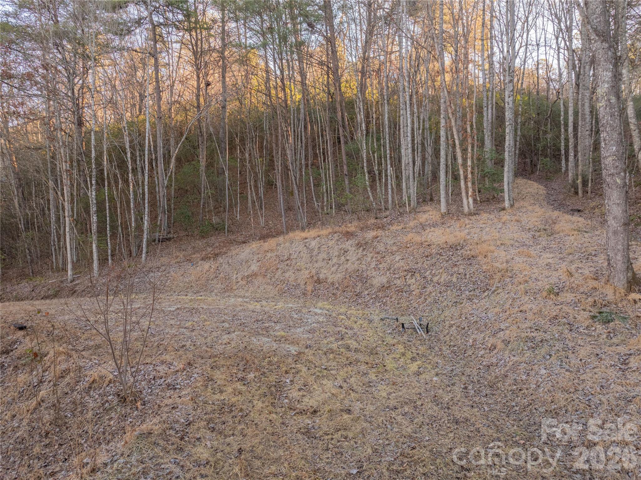 Lot 1 Mccracken Road Bryson City, NC 28713 - Photo 3 of 16 a view of backyard with trees