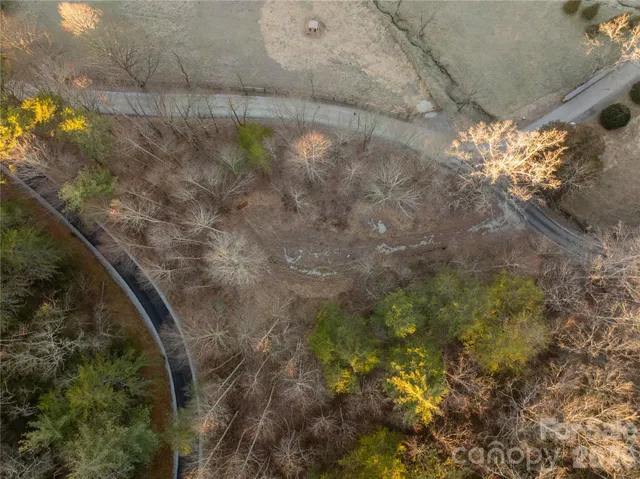 a view of a tree in a yard