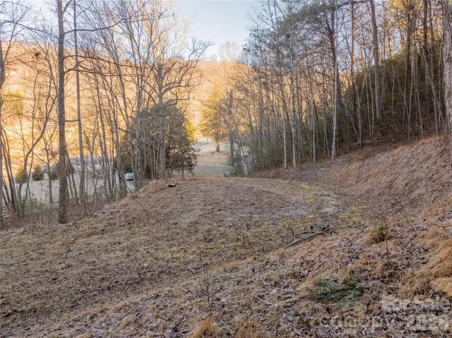 a view of outdoor space with trees