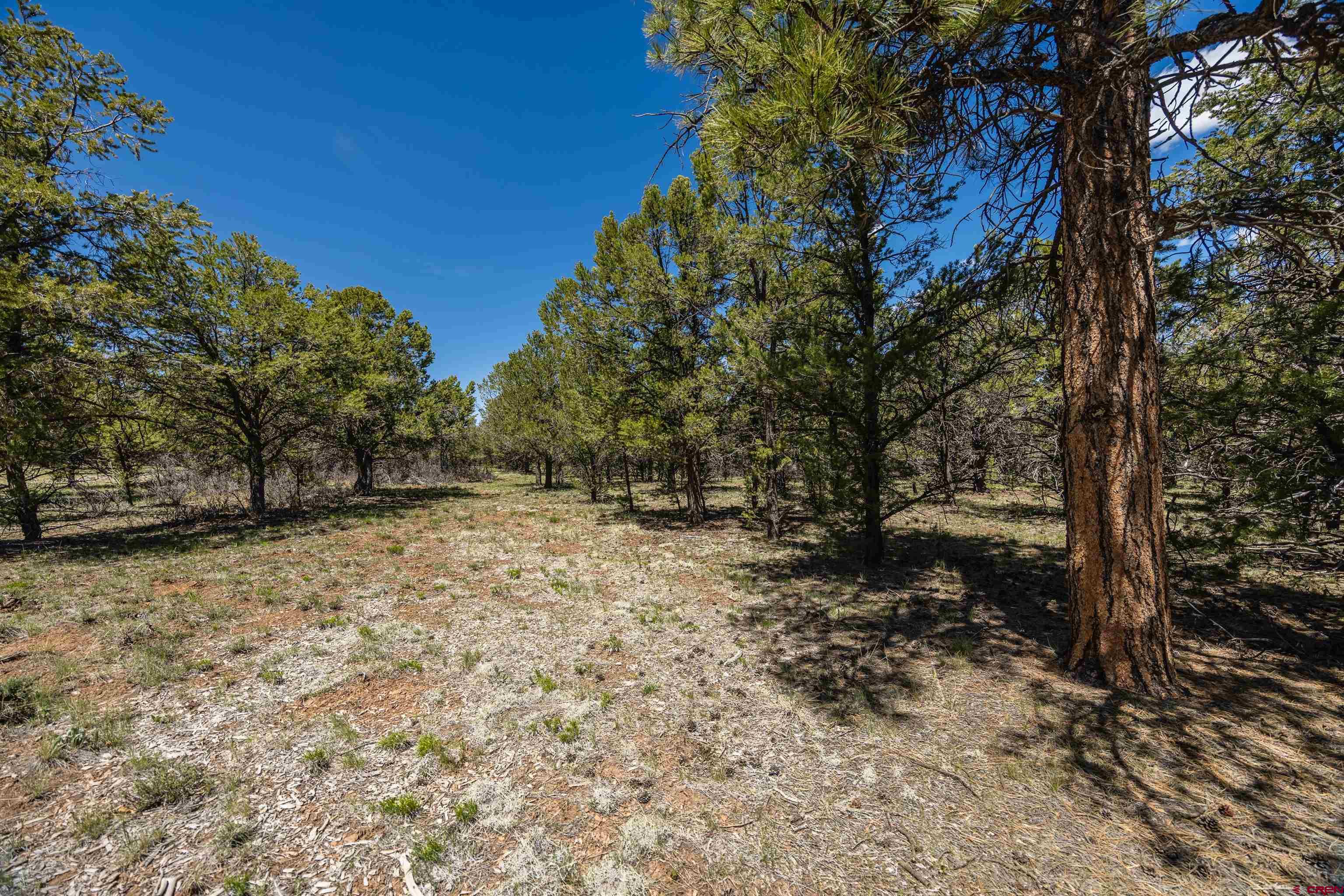 Lot 6 Waterview Court Ridgway, CO 81432 - Photo 6 of 34 Gallery Image 6