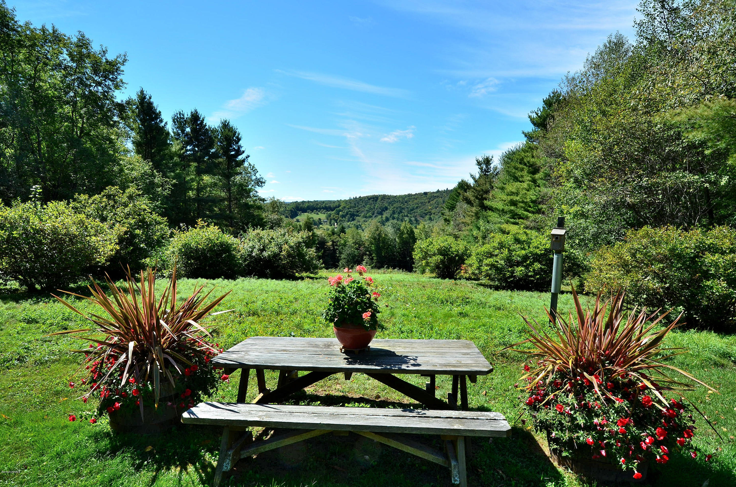 286 Johnson Hill Road Washington, MA 01223 - Photo 13 of 30 a view of a yard with plants