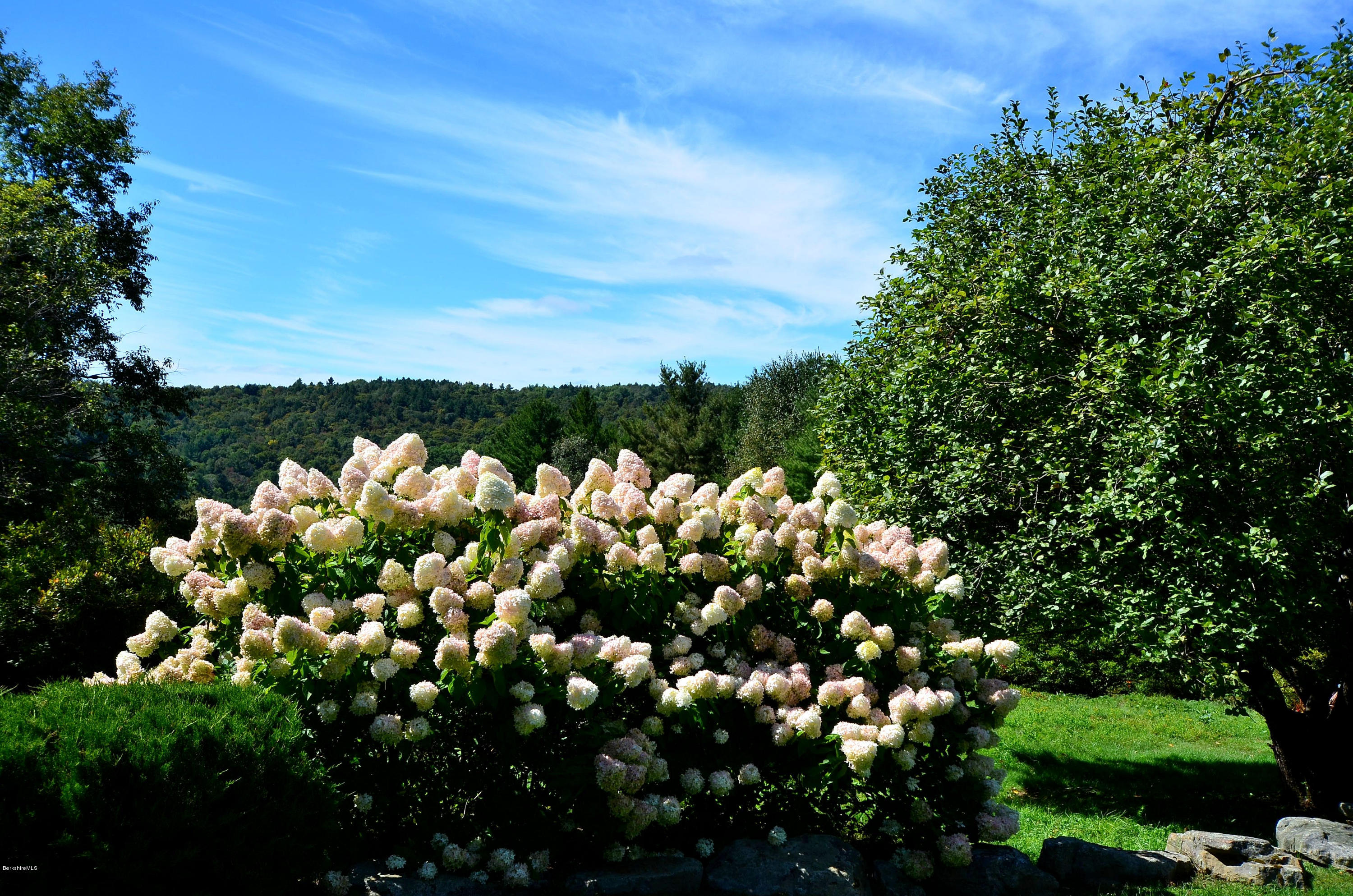 286 Johnson Hill Road Washington, MA 01223 - Photo 15 of 30 a view of a bunch of flowers
