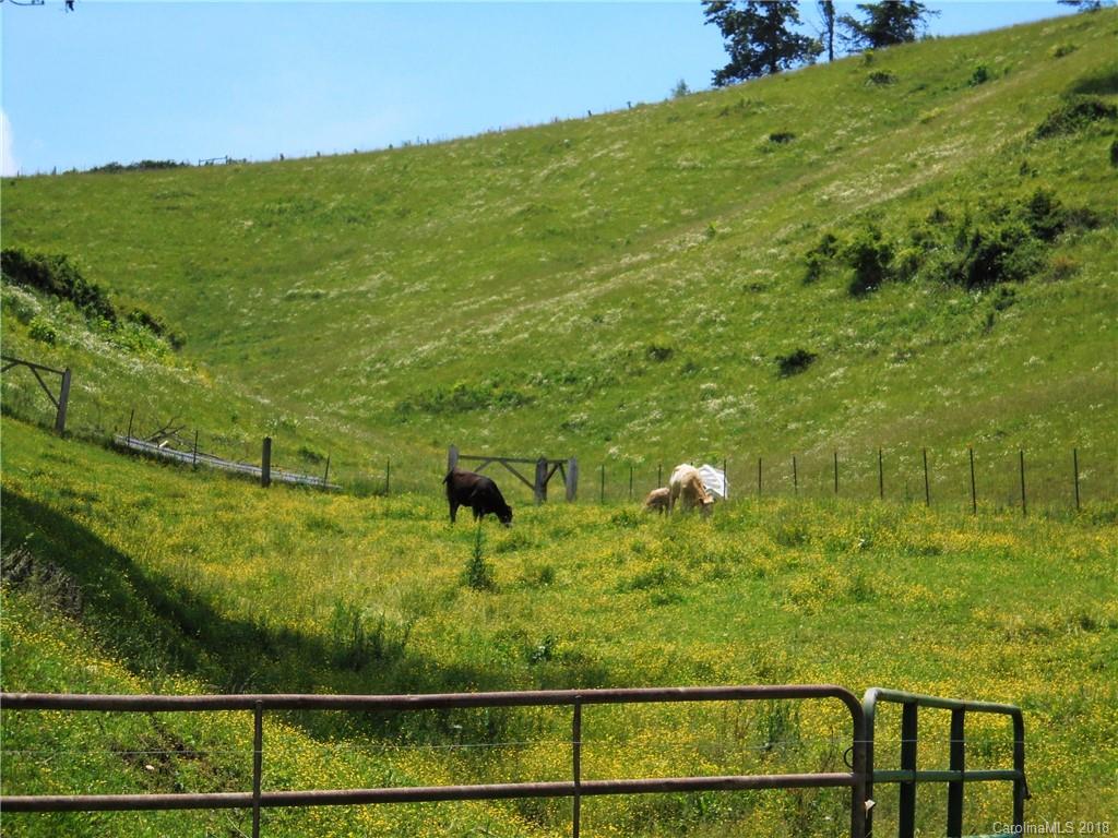 108 Howell Road Marshall, NC 28753 - Photo 15 of 26