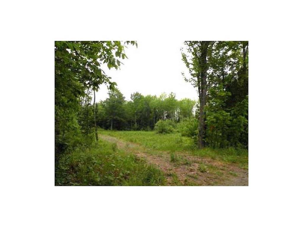 Lot 3 Bessey Ridge Road Albion, ME 04910 - Photo 5 of 7 Clearing