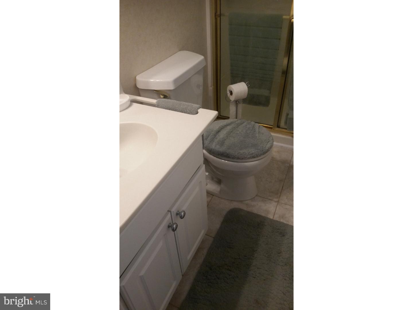 77 Tindall Road Robbinsville, NJ 08691 - Photo 8 of 23 Master Bathroom