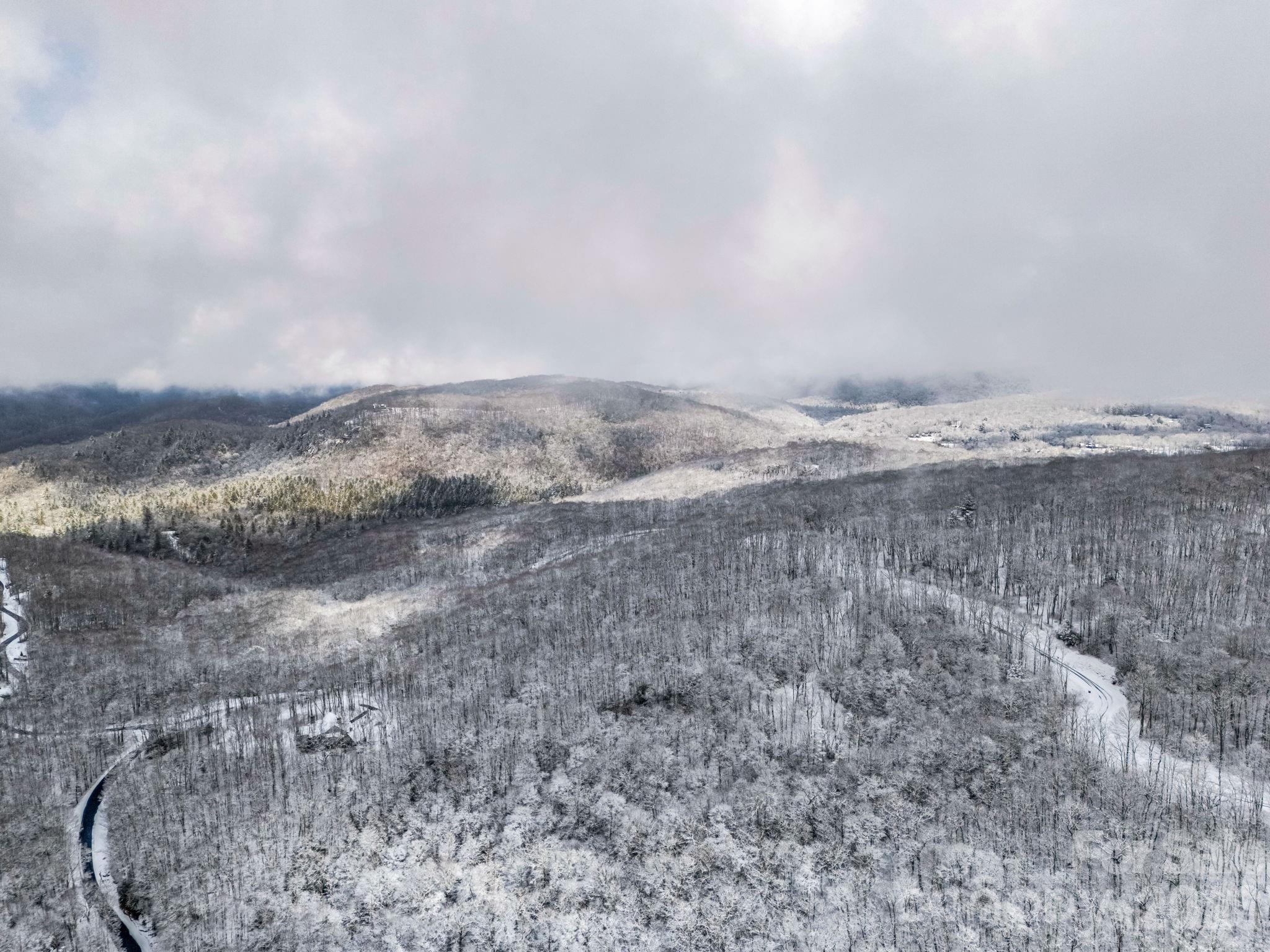 D54 Springwater Road, Unit D54 Glenville, NC 28736 - Photo 12 of 26 a view of a dry field with trees in the background