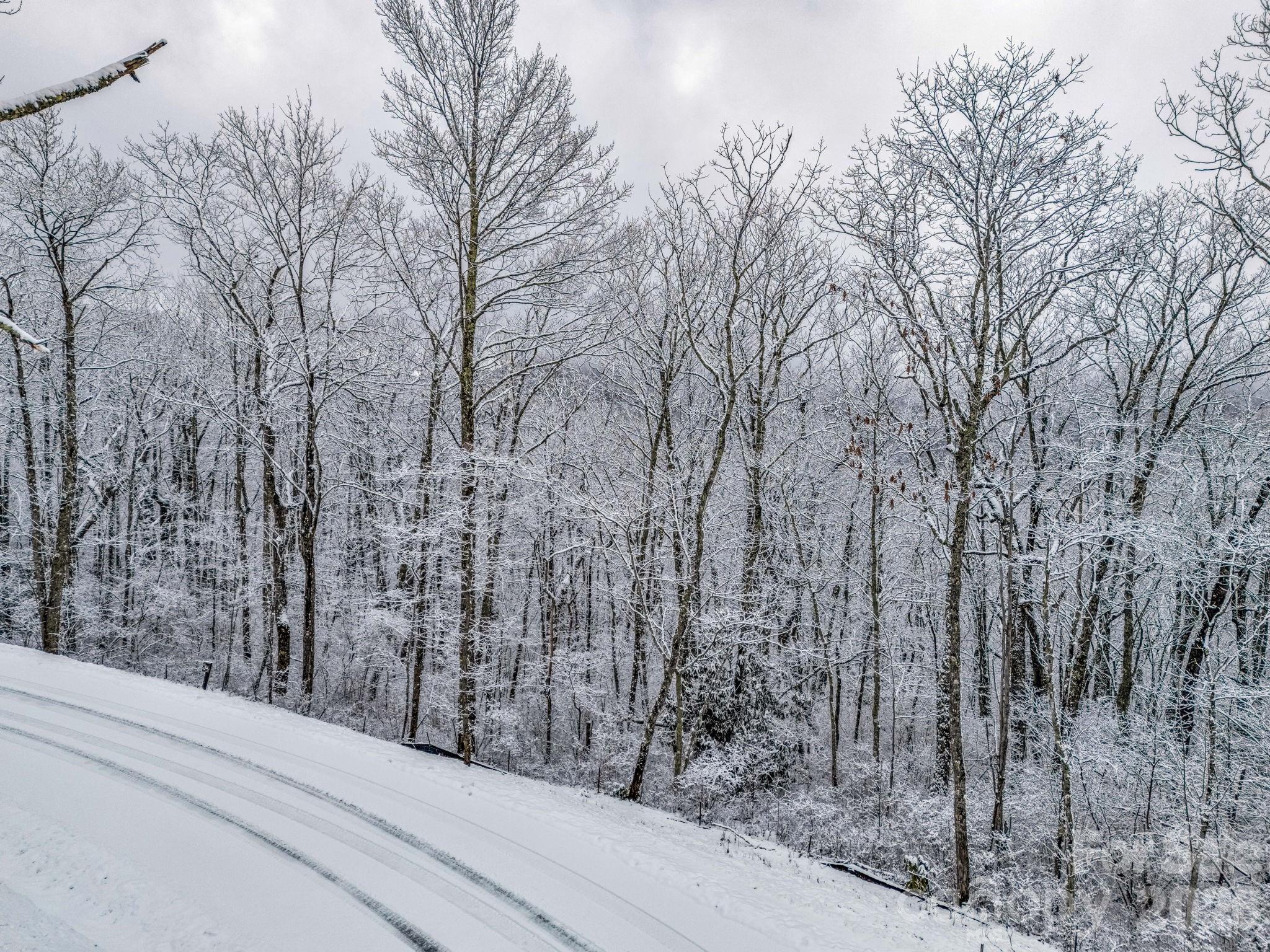 D54 Springwater Road, Unit D54 Glenville, NC 28736 - Photo 14 of 26 a view of a backyard of the house