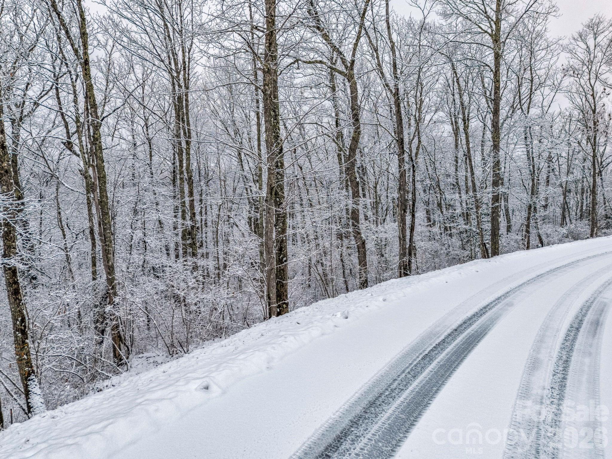 D54 Springwater Road, Unit D54 Glenville, NC 28736 - Photo 15 of 26 a view of a backyard of the house