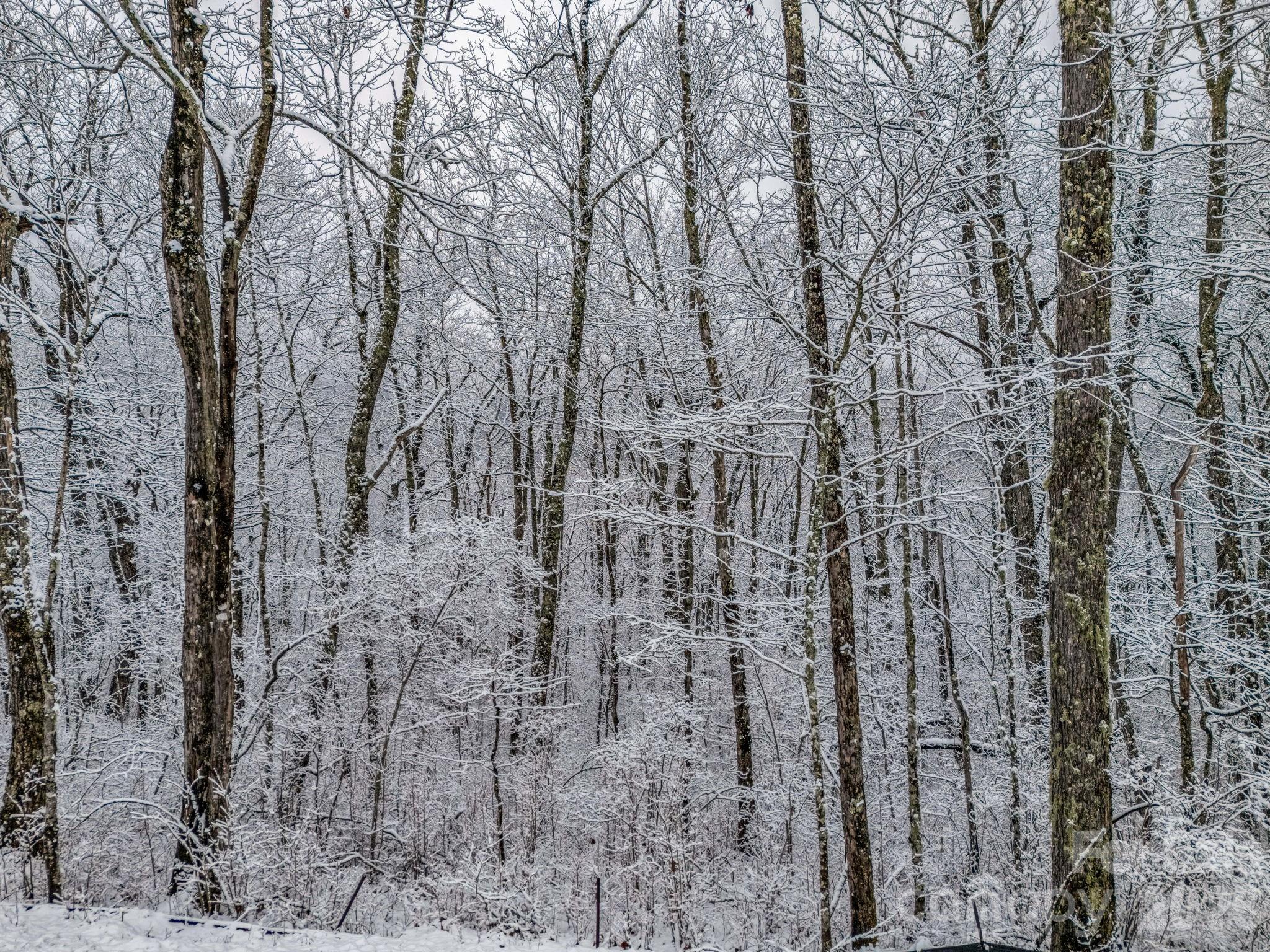 D54 Springwater Road, Unit D54 Glenville, NC 28736 - Photo 16 of 26